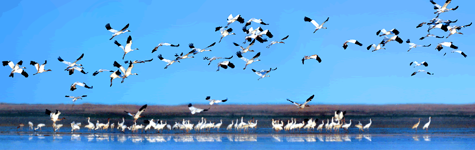 ������Ȼ�ĺ�г����